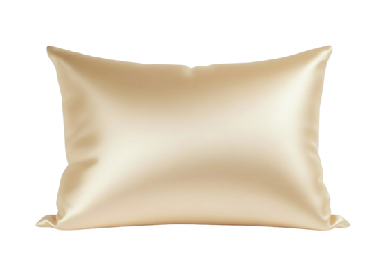 Silk Pillowcase Queen - Champagne